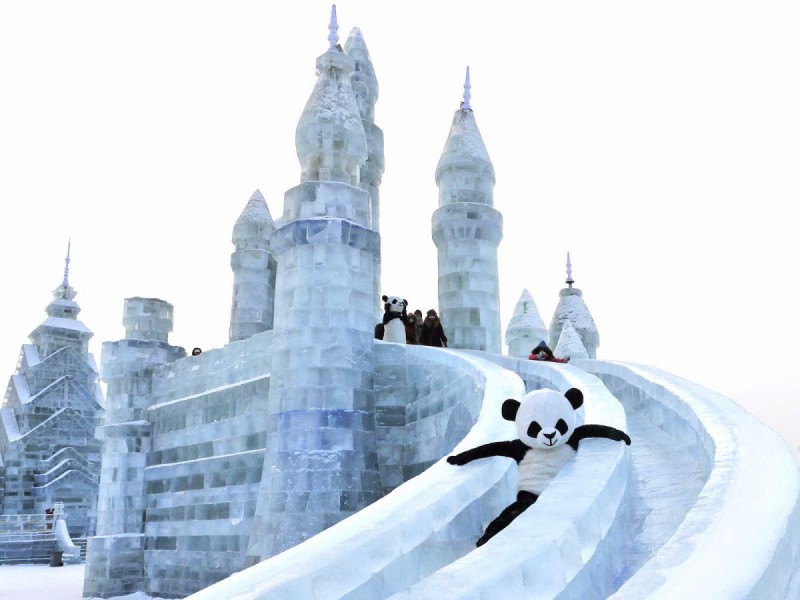 pandaice-1